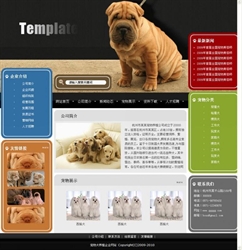 广州宠物类商城网站应该怎样建设
