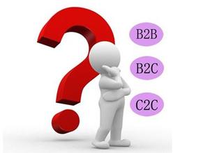 B2B网站系统和B2C网站系统间的区别