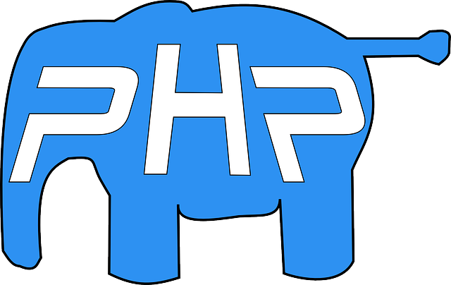 PHP商城系统独领风骚的资本是什么